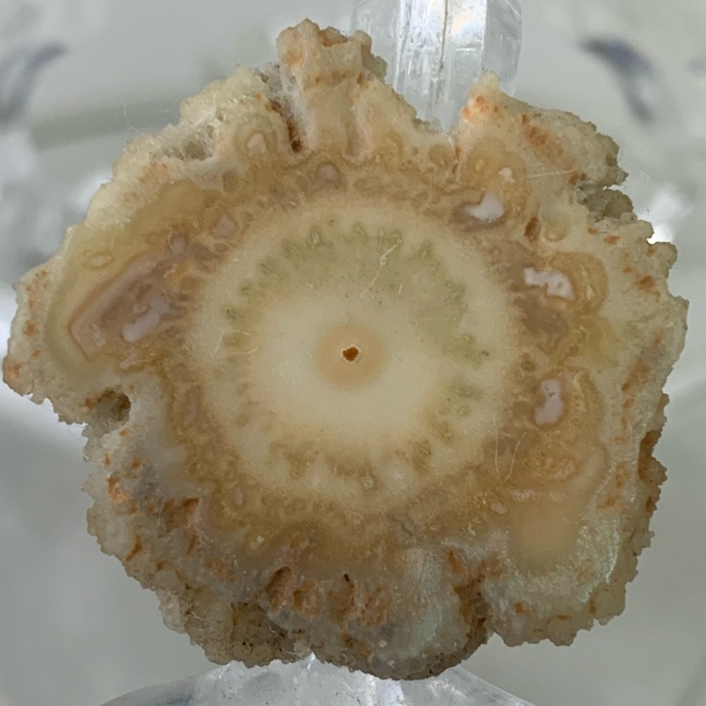 Stalactite